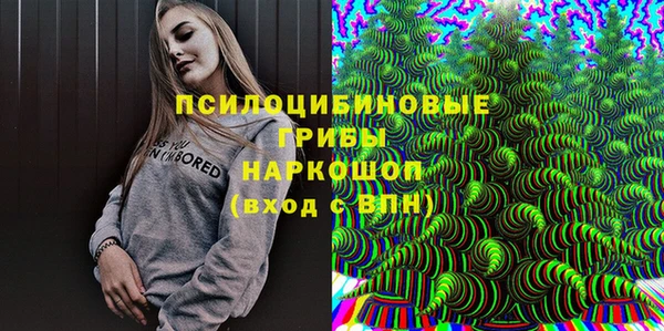прущие грибы Алзамай
