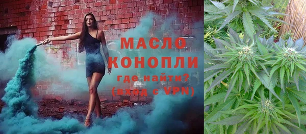 мет Алексин