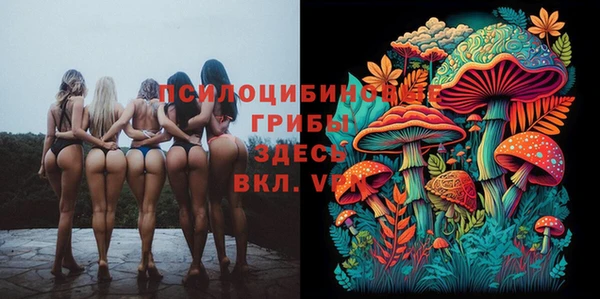 мет Алексин