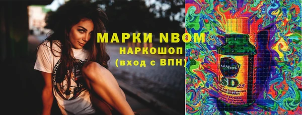 мет Алексин