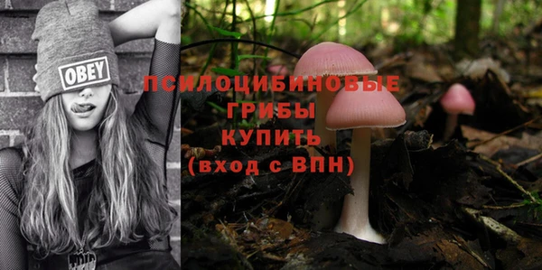 прущие грибы Алзамай